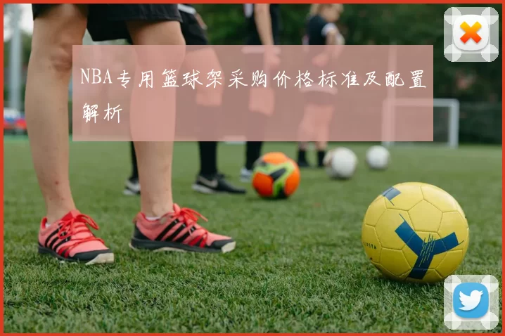 NBA专用篮球架采购价格标准及配置解析