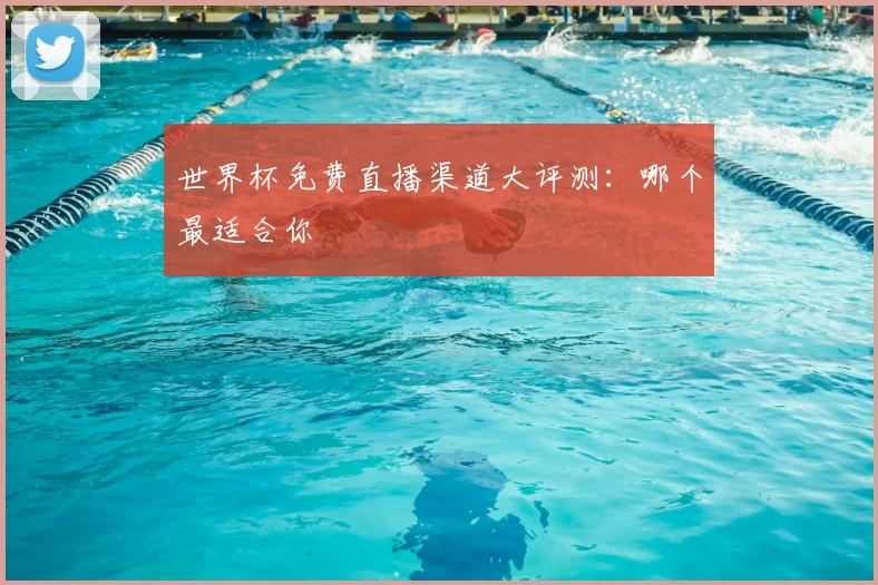 世界杯免费直播渠道大评测：哪个最适合你