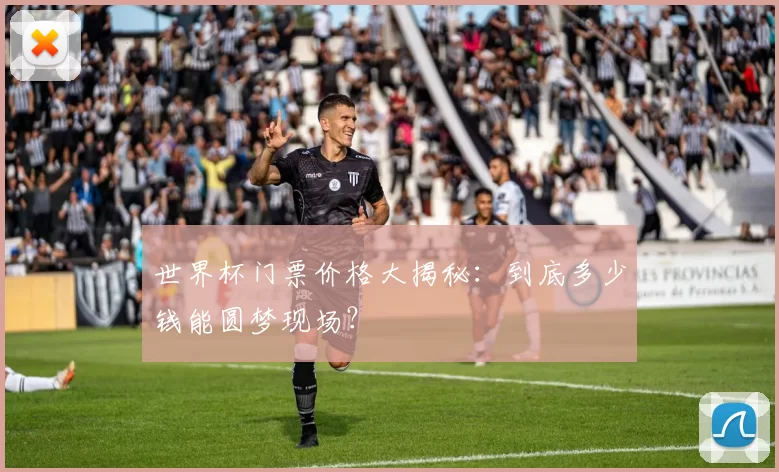 世界杯门票价格大揭秘：到底多少钱能圆梦现场？