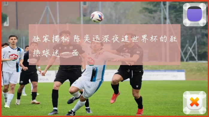 独家揭秘 陈奕迅深夜追世界杯的狂热球迷一面