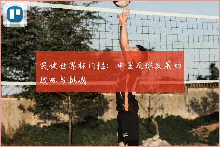 突破世界杯门槛：中国足球发展的战略与挑战