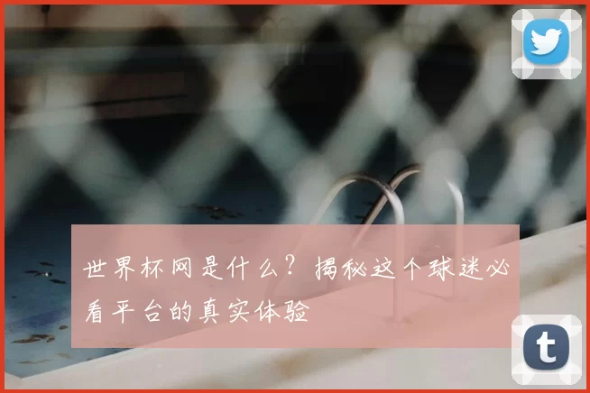 世界杯网是什么?揭秘这个球迷必看平台的真实体验