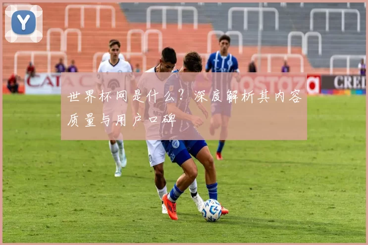 世界杯网是什么?深度解析其内容质量与用户口碑