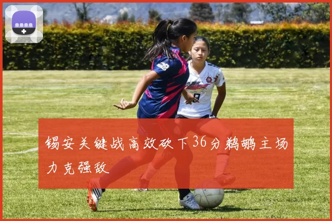 锡安关键战高效砍下36分鹈鹕主场力克强敌