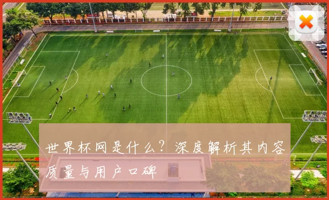 世界杯网是什么？深度解析其内容质量与用户口碑