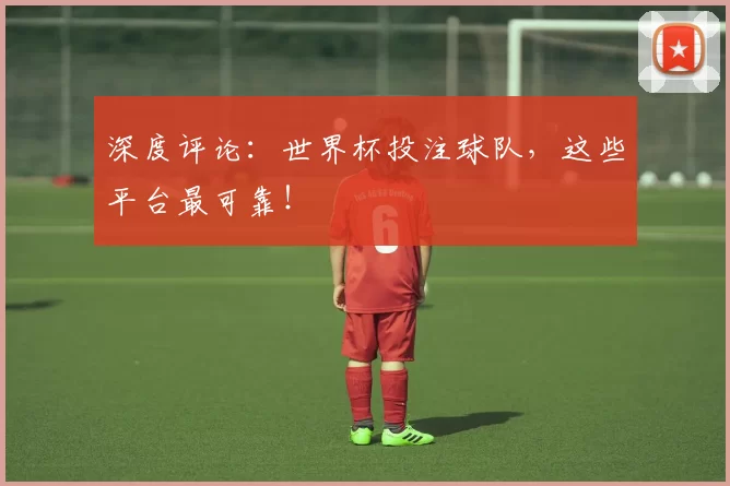 深度评论：世界杯投注球队，这些平台最可靠！